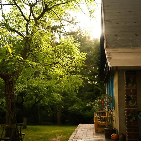 Holiday home Isabel Pniewy (Greater Poland)